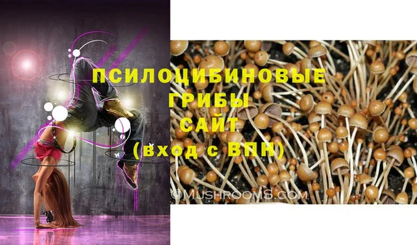 мяу мяу кристалл Арсеньев