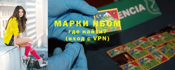индика Аркадак