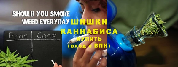 индика Аркадак