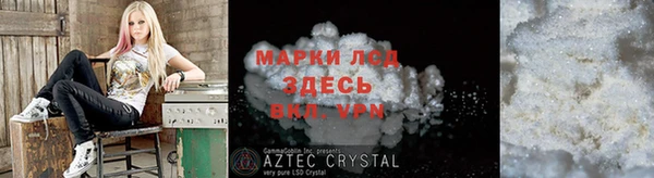 индика Аркадак