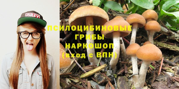 мяу мяу кристалл Арсеньев