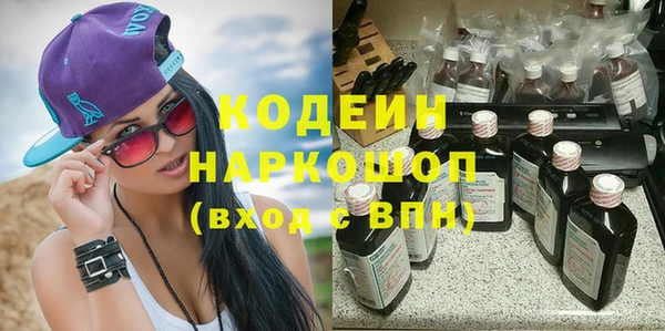 индика Аркадак