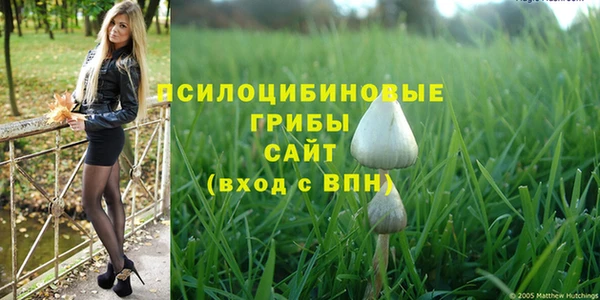 мяу мяу кристалл Арсеньев
