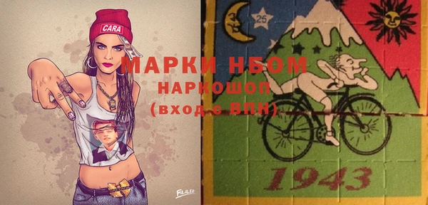 индика Аркадак