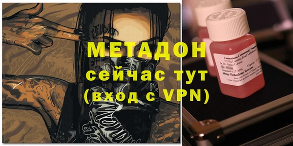 индика Аркадак