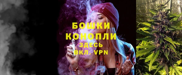 прущие грибы Нея