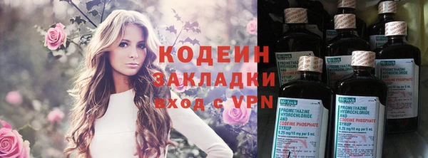 прущие грибы Нея