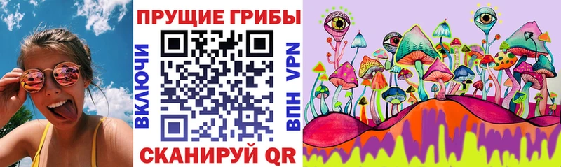 Галлюциногенные грибы Psilocybe  ОМГ ОМГ зеркало  Новоалтайск 